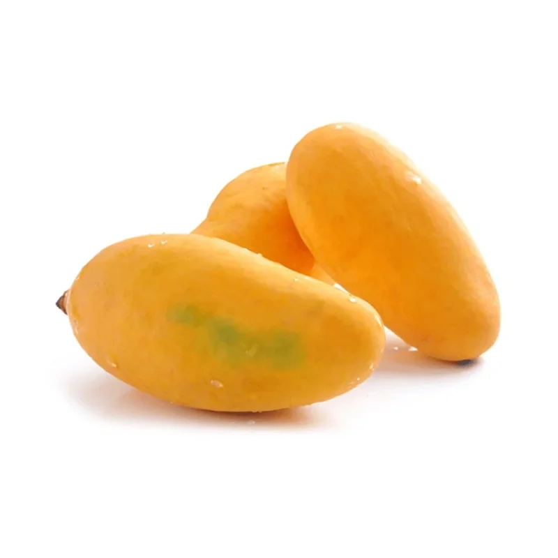 chaunsa mangoes by Nautilus Food in Pakistan 1