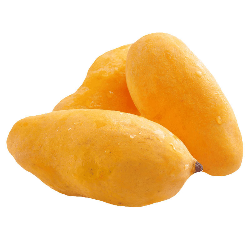 sindhri mangoes by Nautilus Food in Pakistan 1