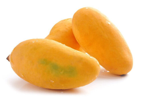 0006815_mango-sindhri