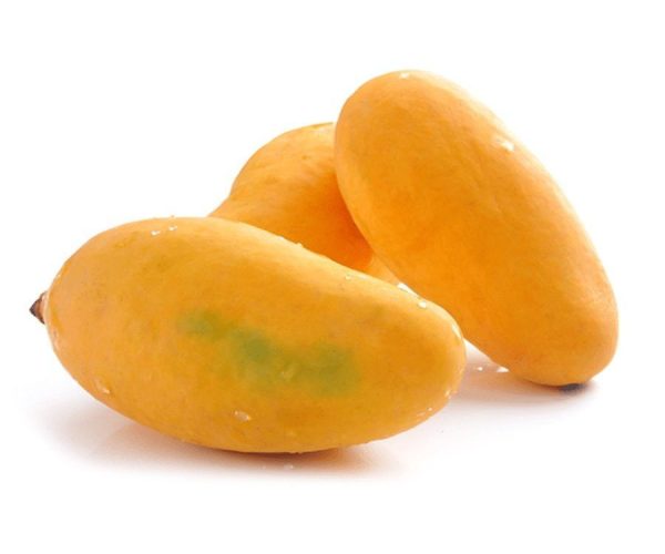 0006815_mango-sindhri