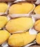 Sindhri Mangoes: The Golden Queen of Summer