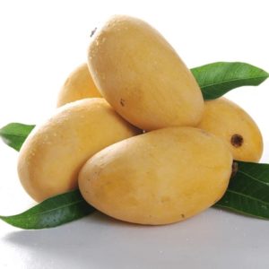 Premium Chaunsa Mangoes